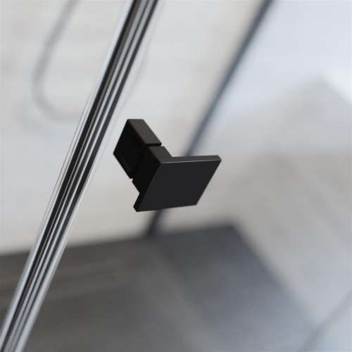Душевой уголок Radaway Essenza Pro Black PTJ фото 4