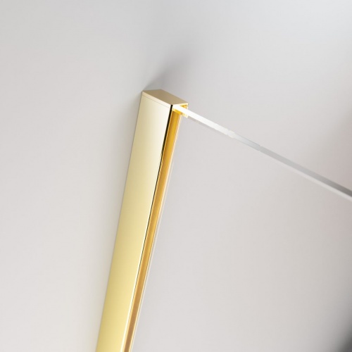 Душевая дверь Radaway Furo Gold DWJ фото 10