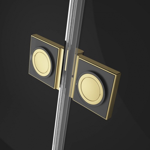 Душевой уголок Radaway Essenza Pro PTJ Gold фото 4
