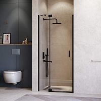 Душевая дверь RGW Hotel HO-014B