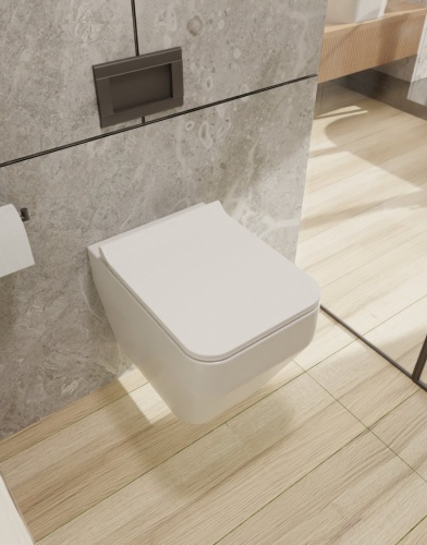 Подвесной унитаз AQUAme AQM2009 фото 6