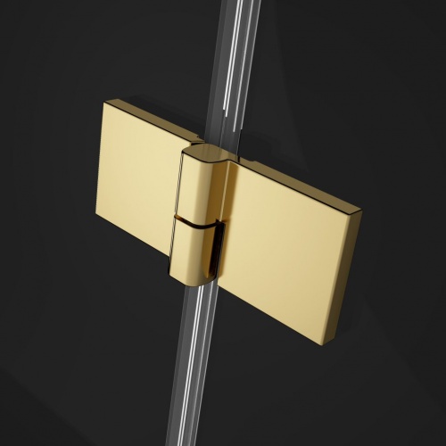 Душевой уголок Radaway Essenza Pro PTJ Gold фото 3