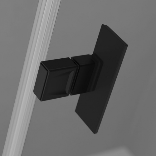 Душевая дверь Radaway Nes Black DWD I фото 3